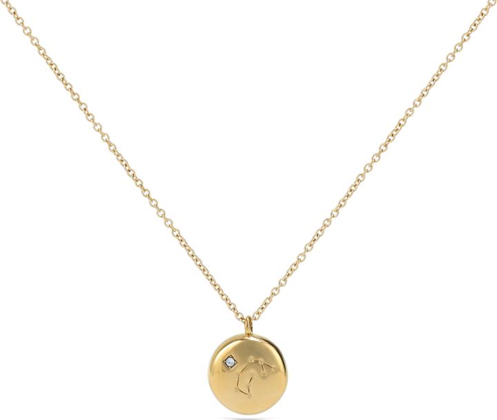 Immagine prodotto Hey Harper Collana con costellazione dell'Acquario (Acciaio inossidabile placcato oro 14k + cristalli Swarovski)
