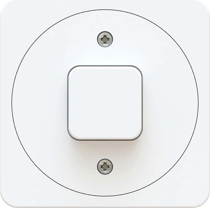 Actual product image Max Hauri maxONE pressure switch scheme 3