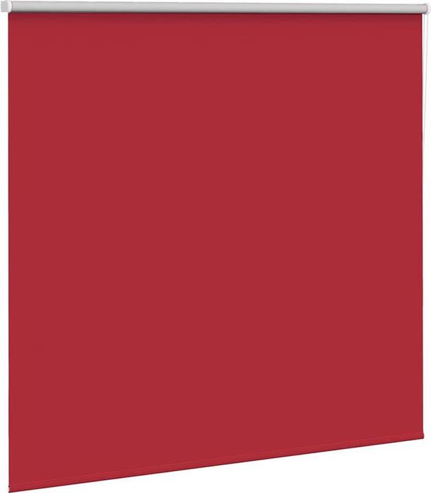 Actual product image vidaXL Verdunkelungsrollo (145 x 150 cm)