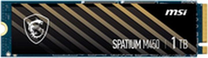 Produktbild MSI Spatium M450 (1000 GB, M.2 2280)