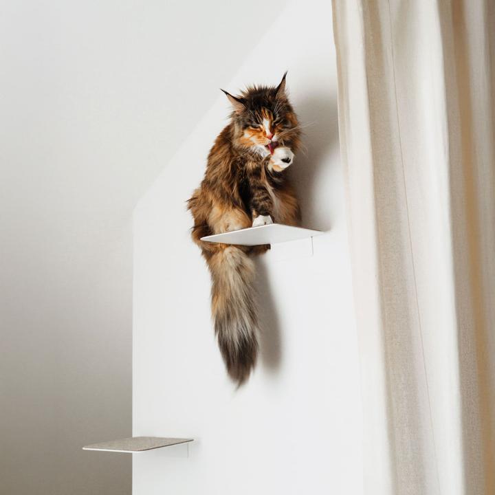Image du produit LucyBalu STEPS Katzentreppe (Chat)