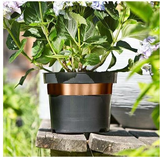 Image du produit Windhager Bandeau défensif