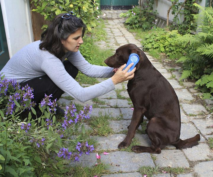 Produktbild Kerbl MagicBrush (Hund)