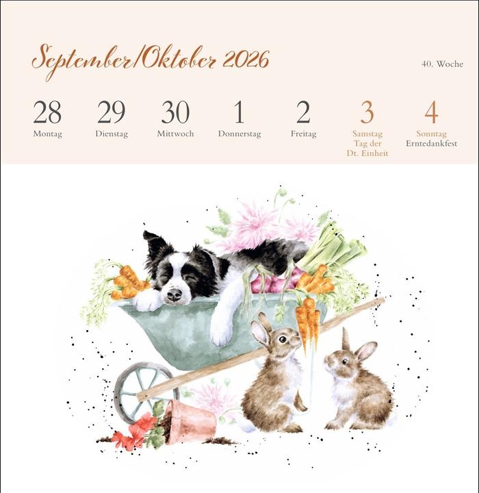 Produktbild Hannah Dale: Happy Animals Premium-Postkartenkalender 2026 (165 x 177 mm, Kein Einband, Deutsch)