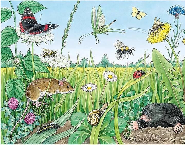 Produktbild Ravensburger Wieso? Weshalb? Warum? Tiere im Wald und auf der Wiese (12 Teile)