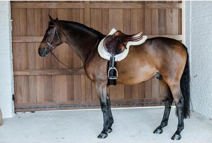 Immagine prodotto Kentucky Horsewear sottosella da salto hunter vegan