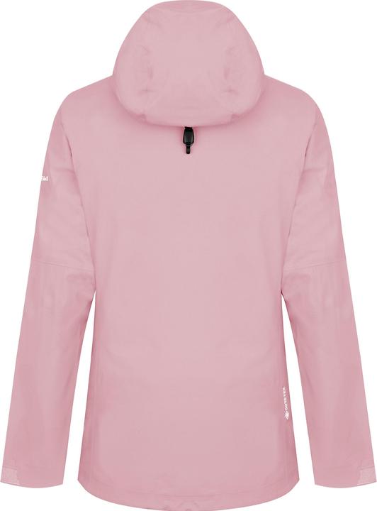 Produktbild Salewa Women's Puez GTX-Paclite Jacket (40, L)