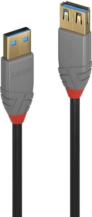 Actual product image Lindy USB A - USB A (2 m, USB 3.0)