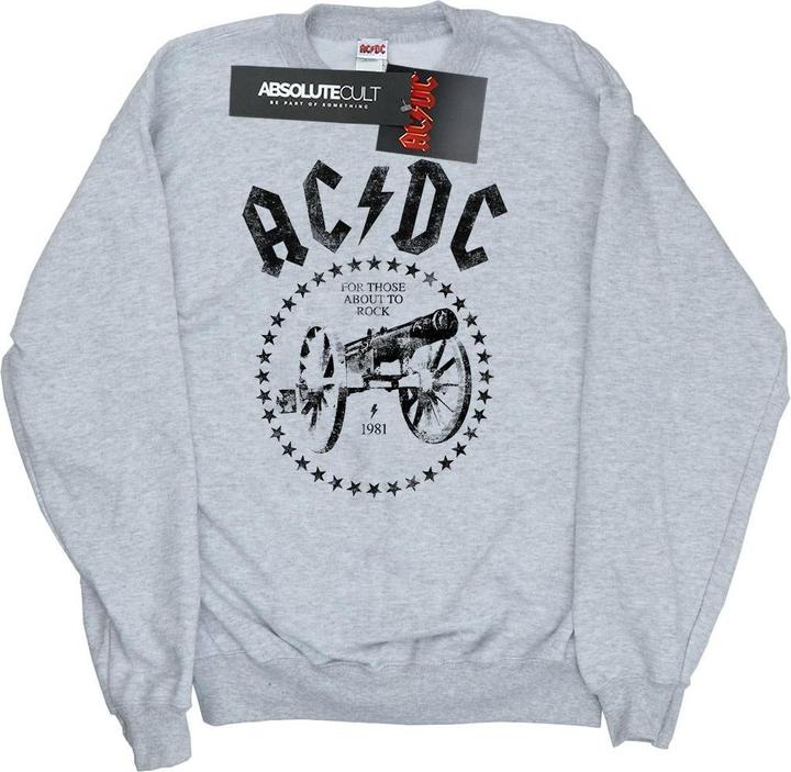 Image du produit AC/DC Mens We Salute You Cannon Cotton Sweatshirt (L)
