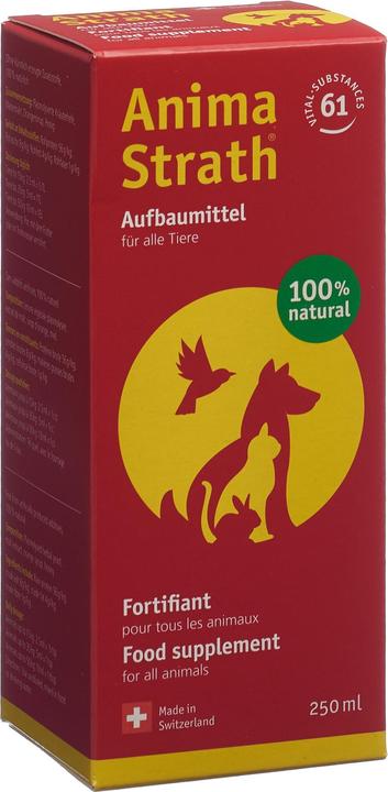 Produktbild Anima-Strath Flüssiges Aufbau- & Stärkungsmittel (Adult, 1 Stk., 0.25 g)