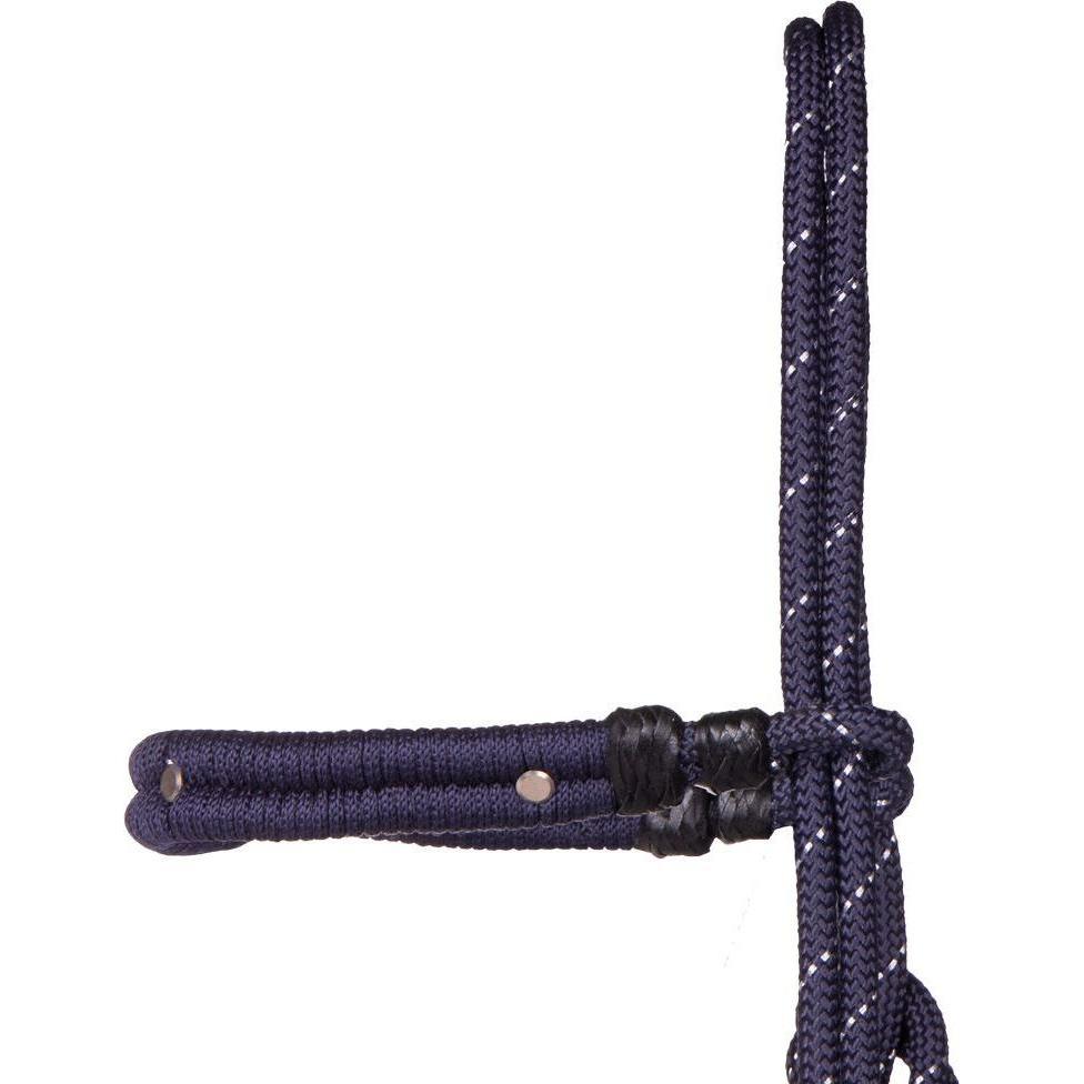 Thumbnail - Qhp, Halfter