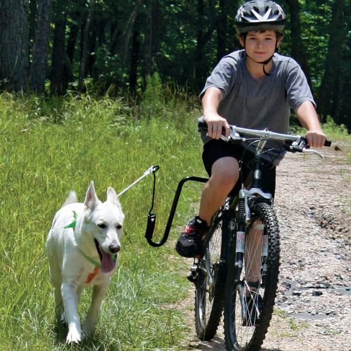 Produktbild Scout (Hund, Fahrrad)