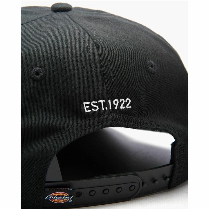 Actual product image Dickies Hardwick Cap (One size)