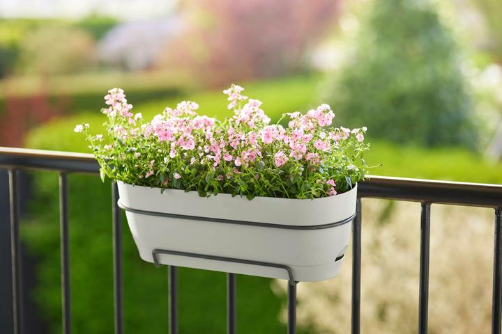 Image du produit Elho Vibia Campana (18.20 cm)