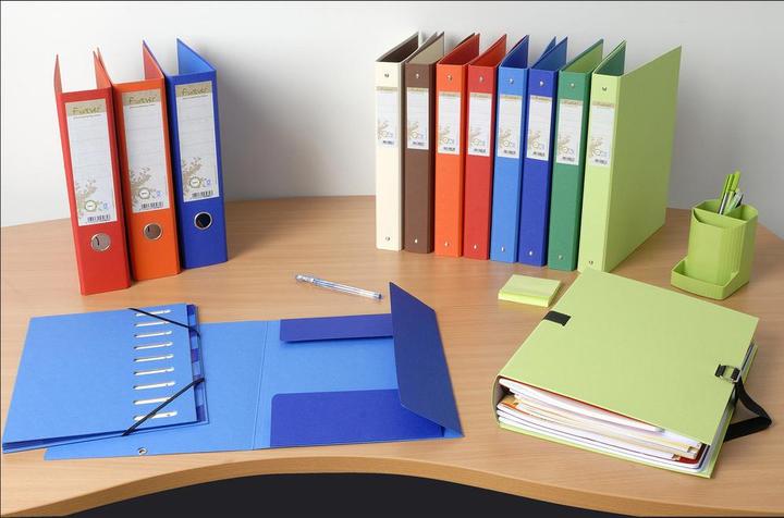 Actual product image Exacompta Ring binders (A4, 40 mm, 120 Piece)