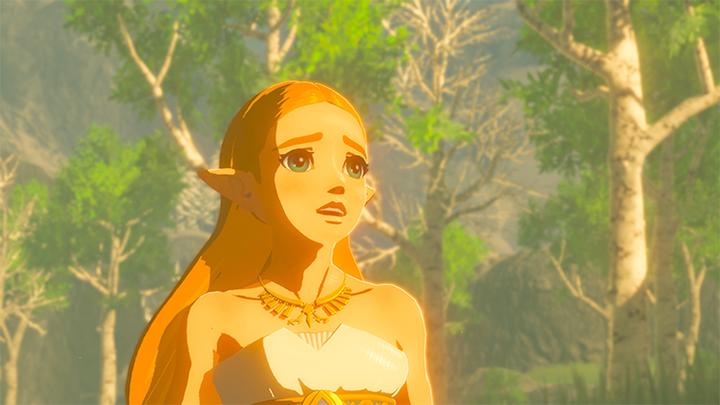 Image du produit Nintendo La légende de Zelda : le souffle de la nature (Switch, EN)