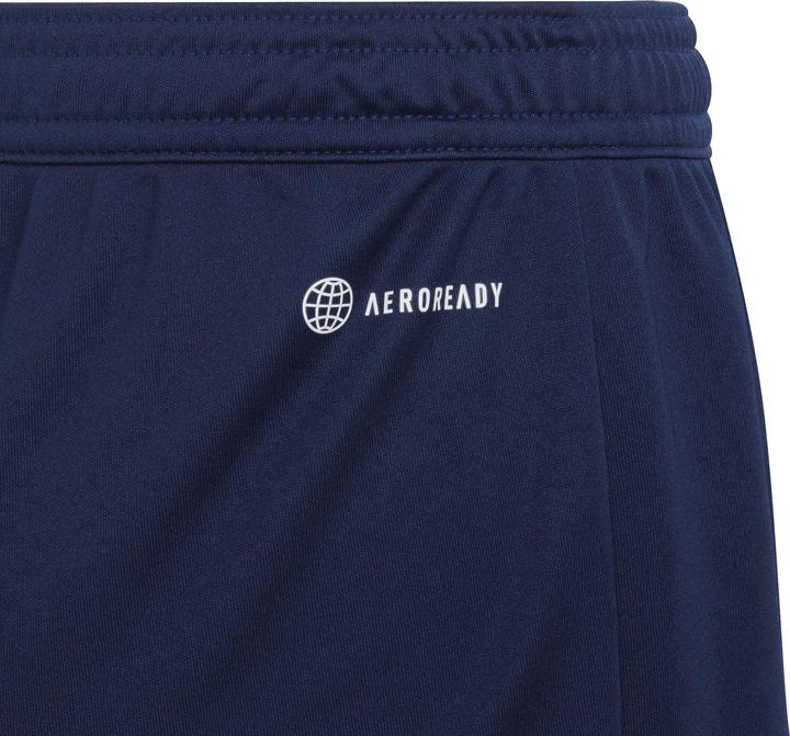 Actual product image adidas Entrada 22 Shorts (140)