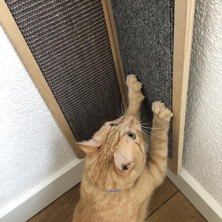 Produktbild EBI Krappa Corner (weiss-sisal)