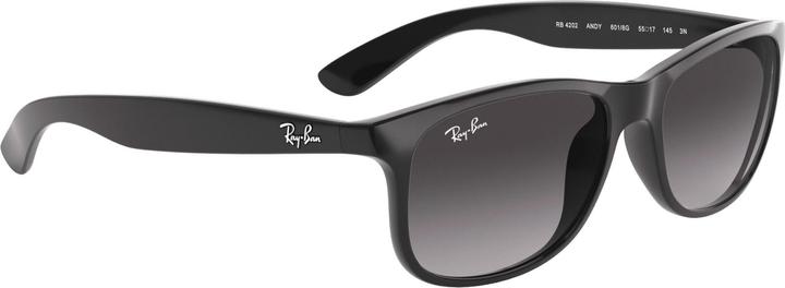 Produktbild Ray Ban Rb4202