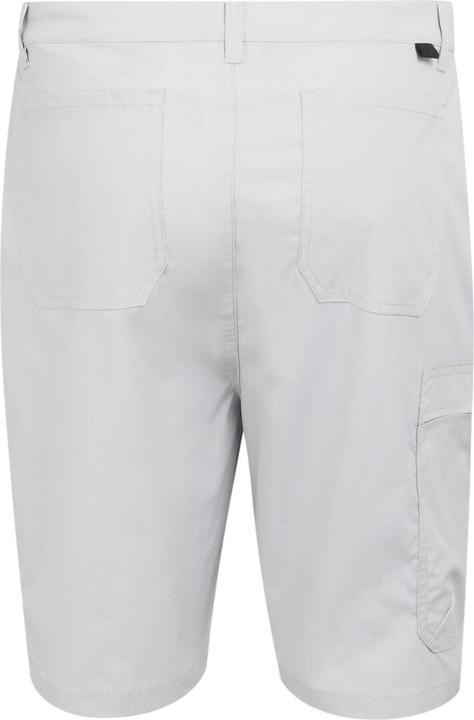 Actual product image Regatta Mens Dalry Multi Pocket Shorts (33)