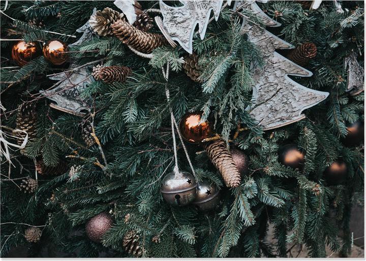 Produktbild Trendform Deep Forest (42 x 29.70 cm)