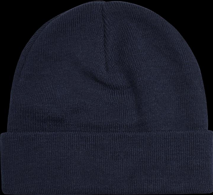 Actual product image hummel Park Beanie (One size)