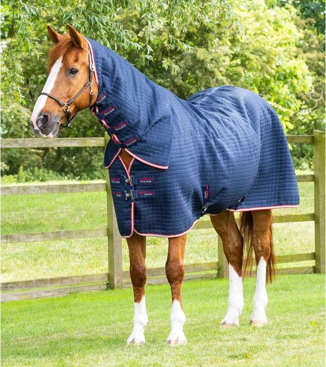 Actual product image Premier Equine Dry-Tech (191 cm)