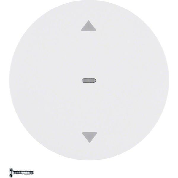 Berker, Zubehör Schalterprogramm, 85241139 Jalousie-Taste R.1/R.3