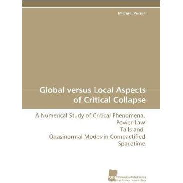 Global versus Local Aspects of Critical Collapse, Fachbücher von Michael Pürrer