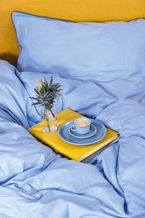 Actual product image Thomas Trend Colour - Arctic Blue - Plate 22 cm (1 x, 21.80 cm)