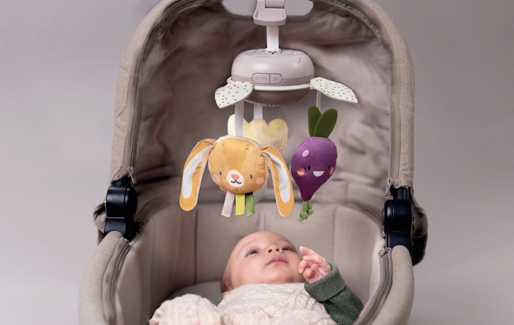 Actual product image Taf Toys TAF Garden - Take Along Mobile (259-13275)
