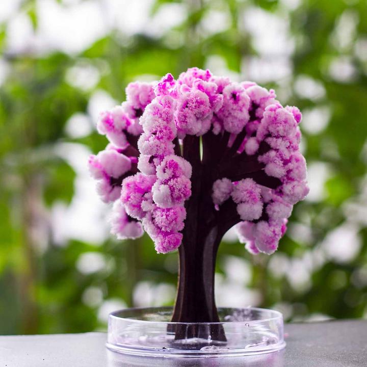 Image du produit Mad Monkey Magic Sakura