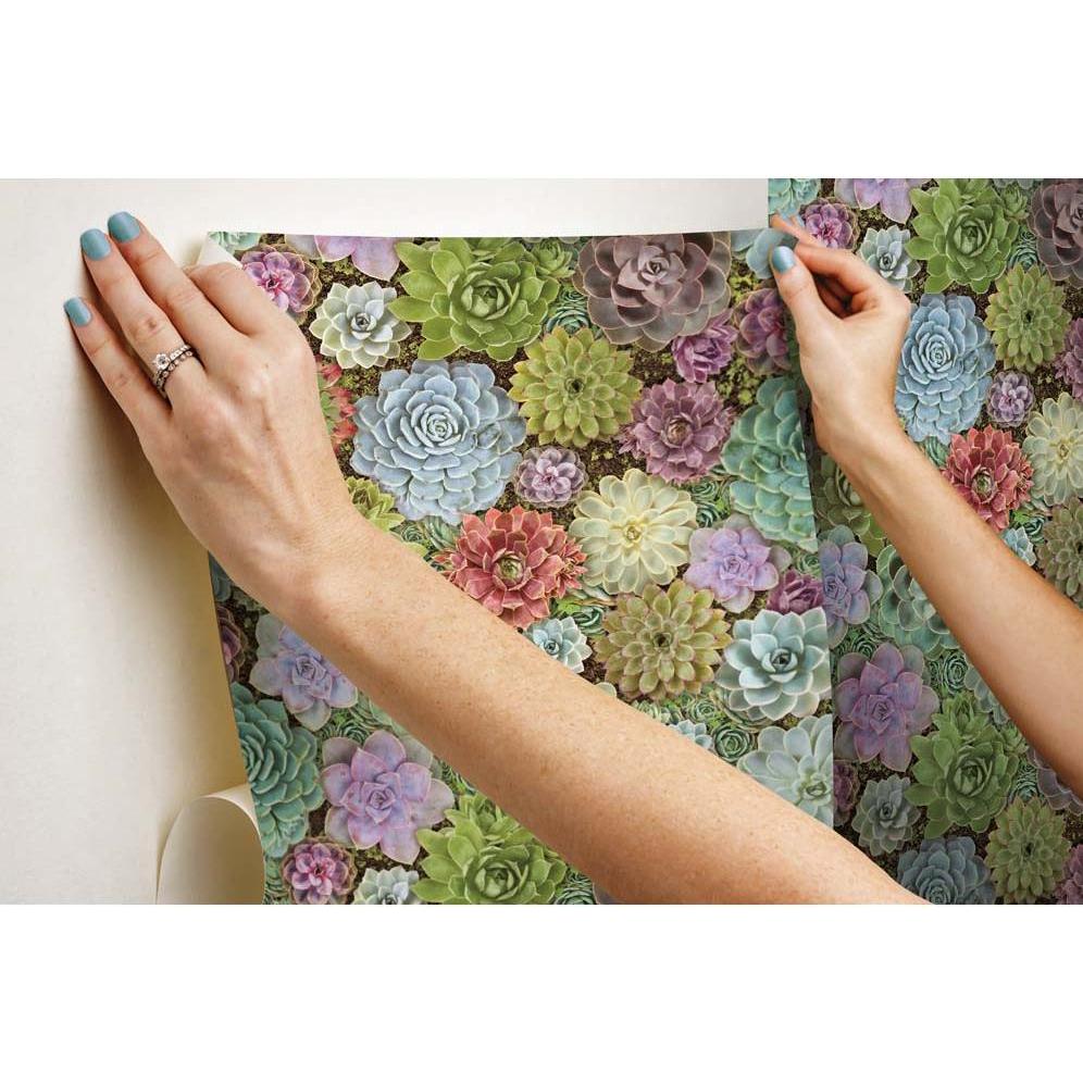 Thumbnail - Roommates, Tapete, PEEL & STICK Wallpaper - Sukkulenten