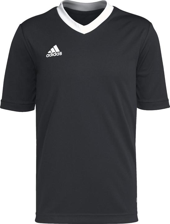 Produktbild adidas Entrada 22 Trikot (128)