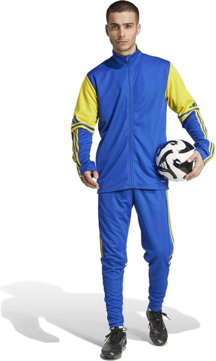 Actual product image adidas Squadra 25 training trousers (M)