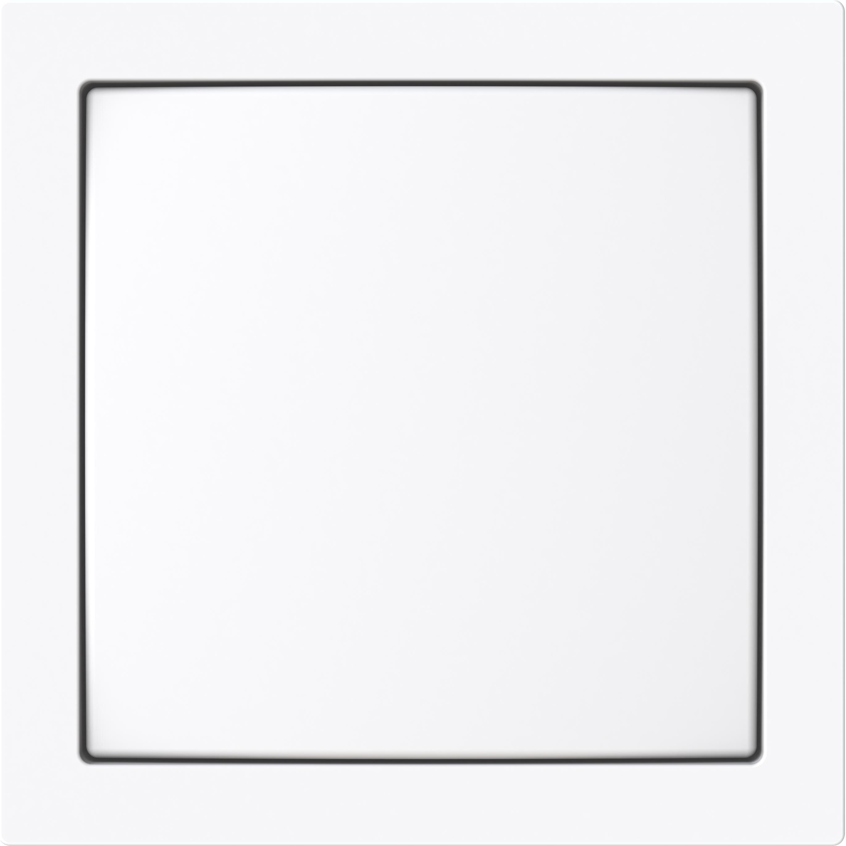 Busch-Jaeger, Zubehör Schalterprogramm, Zentralscheibe