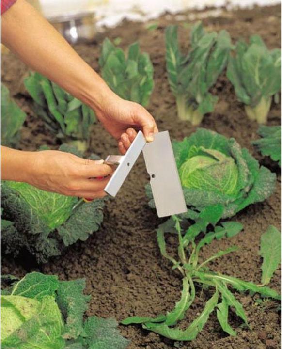 Actual product image Wolf-Garten HW-M Hoe