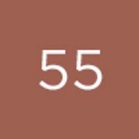 Produktbild Diego dalla Palma Push Up Gloss No 55 (55)