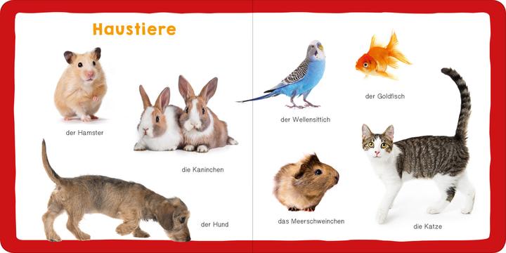 Produktbild Meine ersten 100 Tiere (Deutsch, 2018)