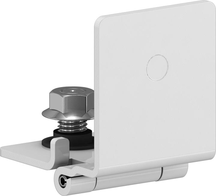 Actual product image Schneider Electric Door Hinges (Set)