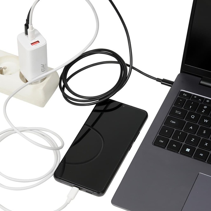 Actual product image iBox C-65 PD65W UNIVERSAL CHARGER GaN USB-C KABELIS Baltas (65 W)