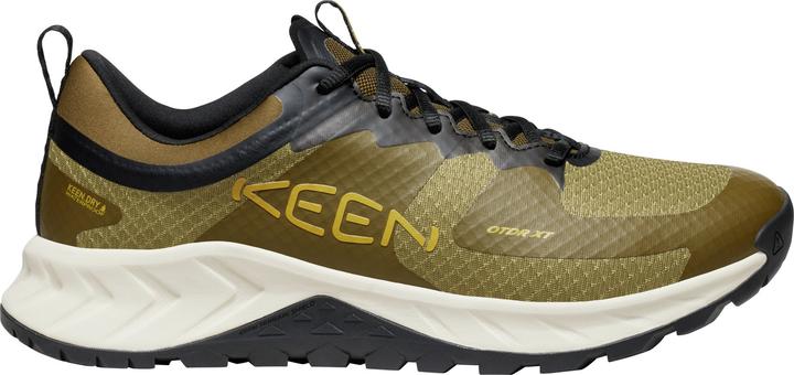 Antique Moss, Dark Olive