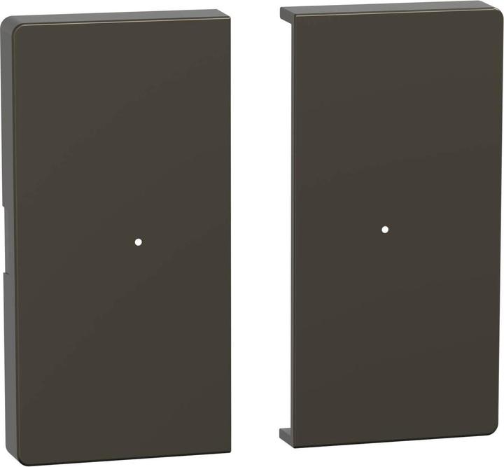 Actual product image Merten Rockers for push-button module 2gang, MEG5220-6052