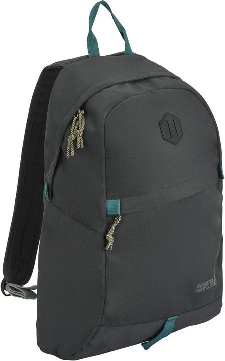 Actual product image Regatta Boulder 20L