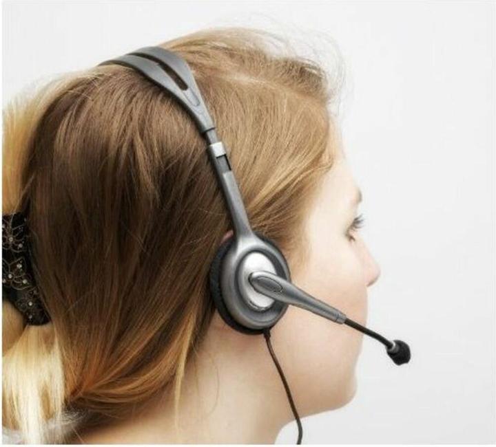 Image du produit Logitech H110 (Filaire, Skype)