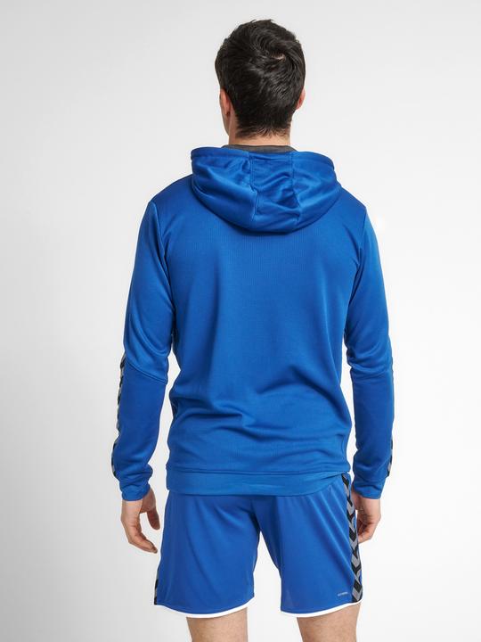 Actual product image hummel Authentic Poly Hoodie (L)