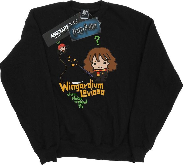 Produktbild Wingardium Leviosa Sweatshirt Jungen (128)