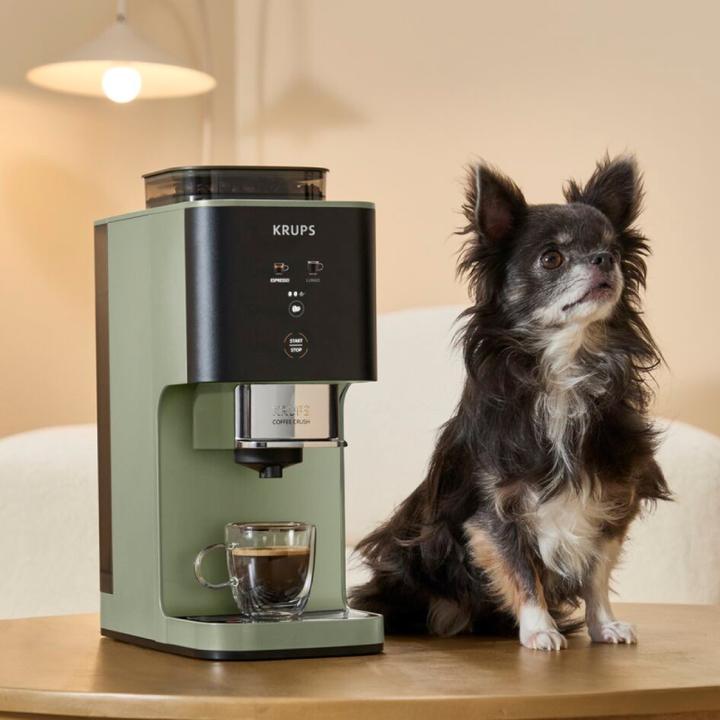 Actual product image Krups Sa401lch Coffee Crush+ Lichen