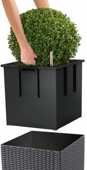 Produktbild Lechuza Cube Cottage (30 cm)