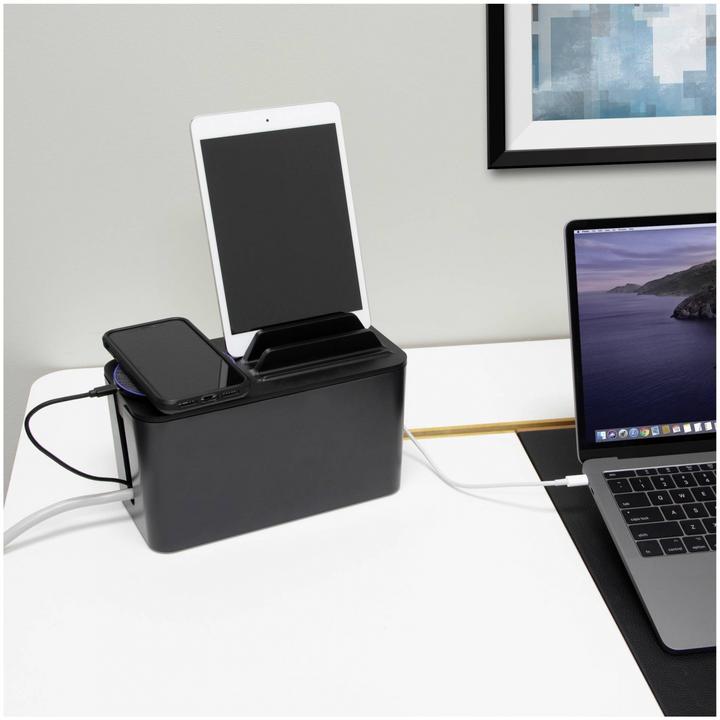 Actual product image BlueLounge Mini Station